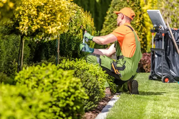 Durfeys Total Tree Service's Other Services Durfeys Total Tree Service's Other Services