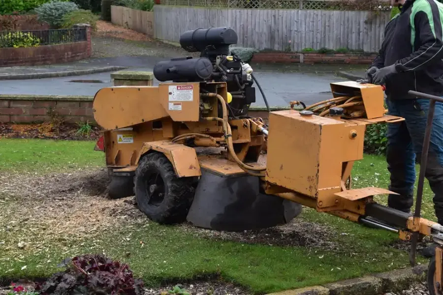 How Stump Grinding Improves Safety Around Your Property North Baltimore, OH