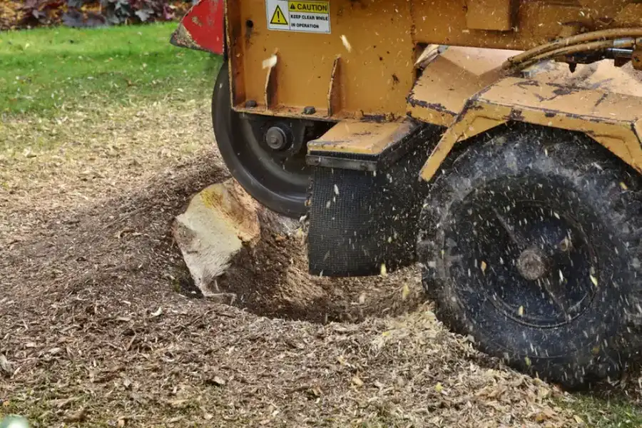How Stump Grinding Improves Safety Around Your Property in North Baltimore, OH