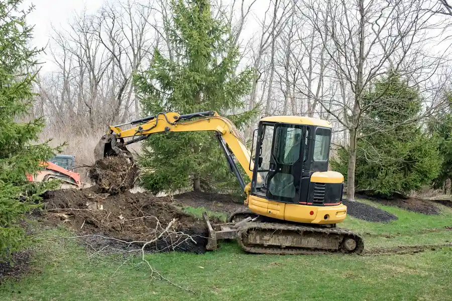 Reputable Tree Stump Removal North Baltimore, OH