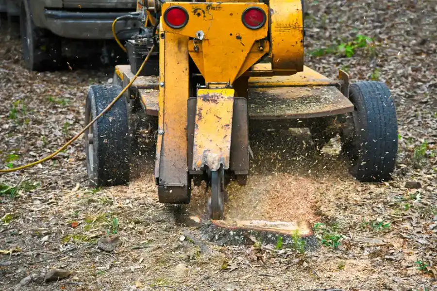 What To Expect From A Professional Stump Grinding Service in North Baltimore, OH